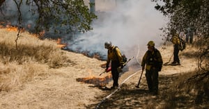 Predicting Wildfire Risk